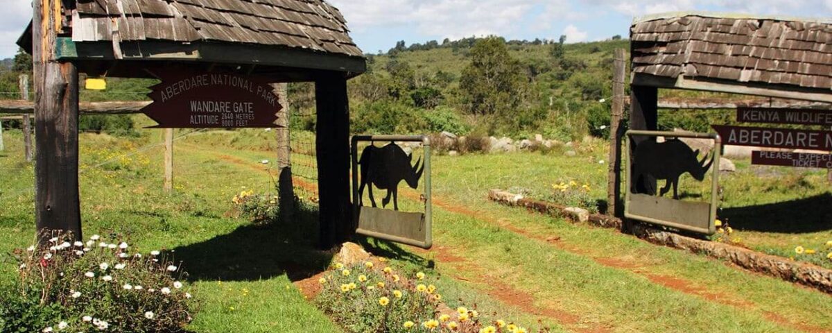 Aberdare National Park