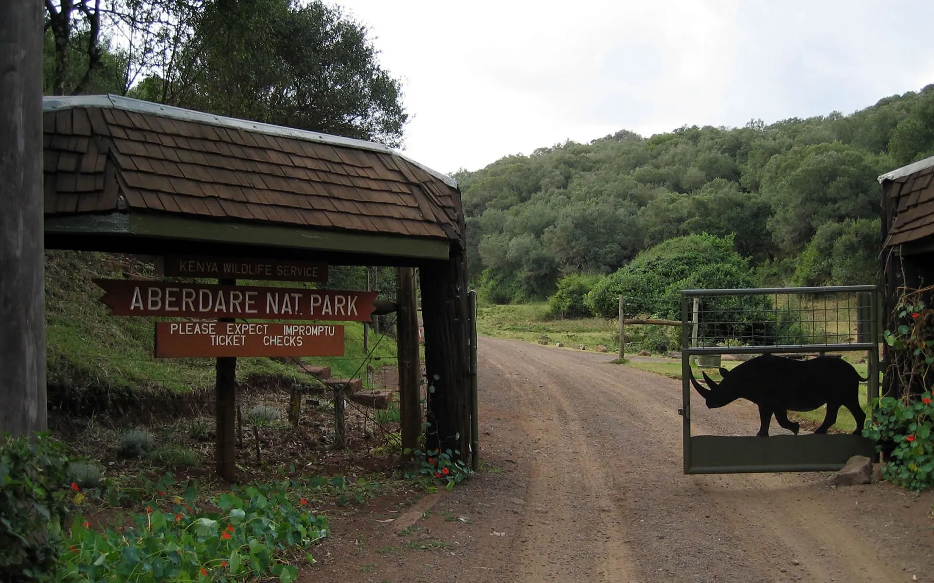 Kenya Wildlife Safari Experience