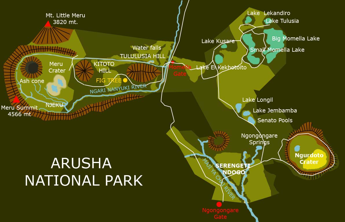 Tanzania Wildlife Safari Experience