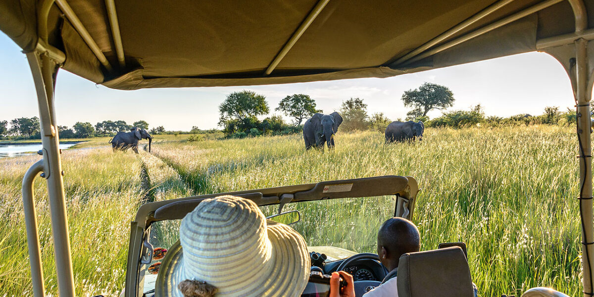 What Vehicles Are Used for Game Drive Safaris in Uganda?