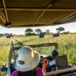 What Vehicles Are Used for Game Drive Safaris in Uganda?