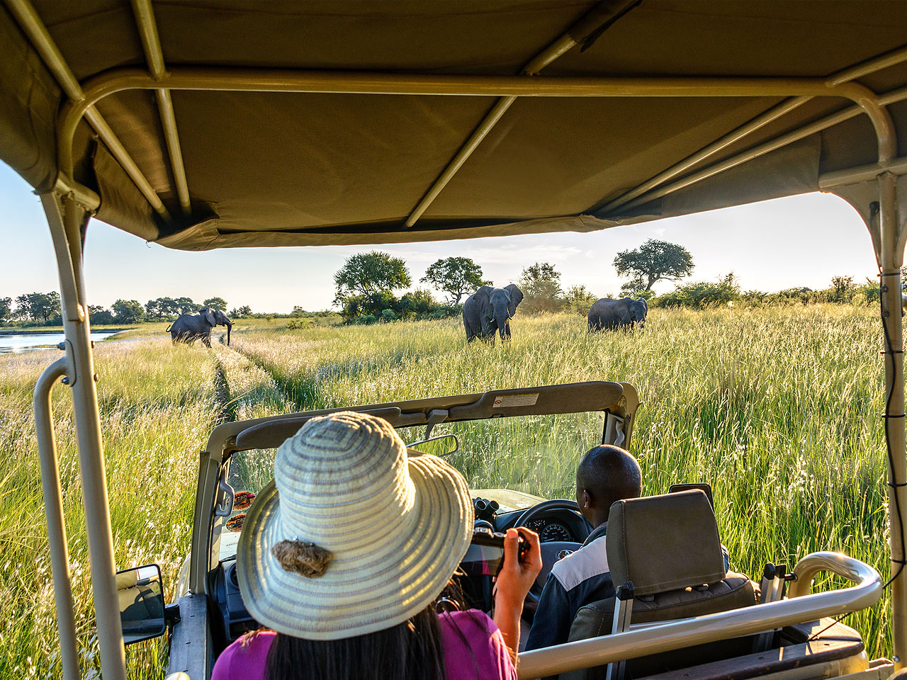 Namibia Wildlife Safari Experience