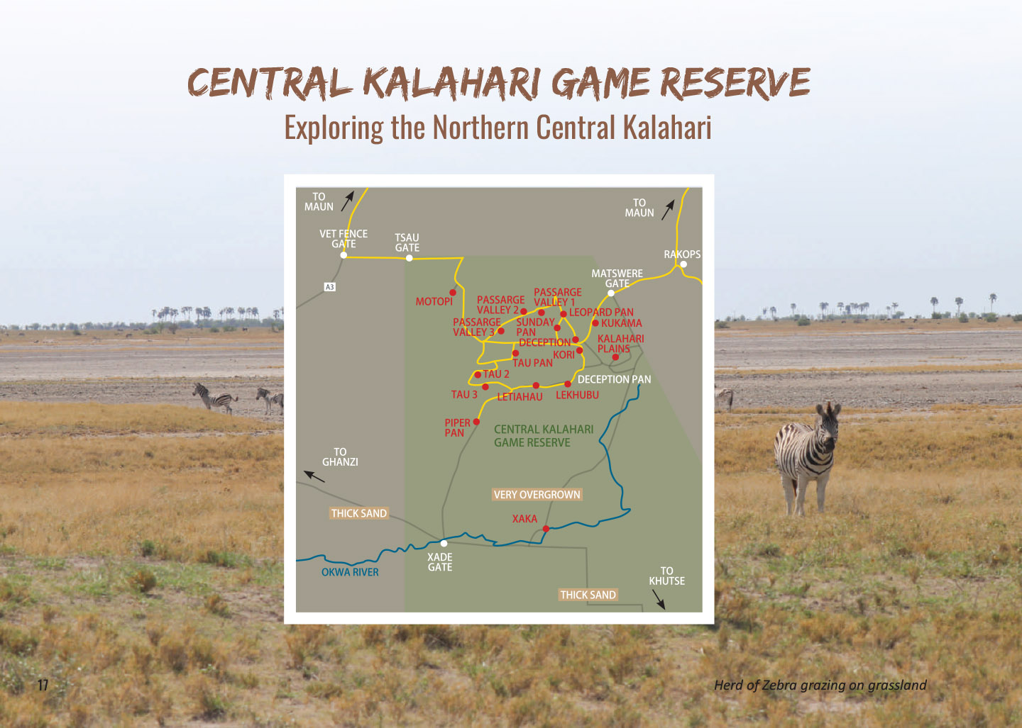 Botswana Wildlife Safari Experience