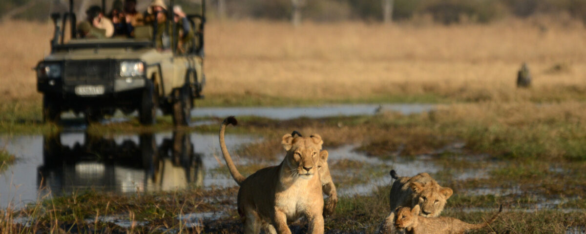 How Much Does a Game Drive Safari in Uganda Cost?