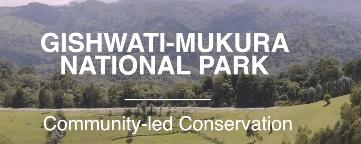 Gishwati-Mukura National Park