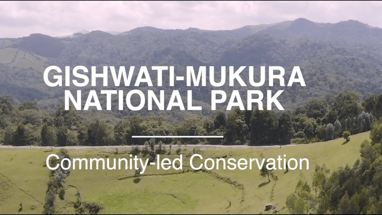 Gishwati-Mukura National Park