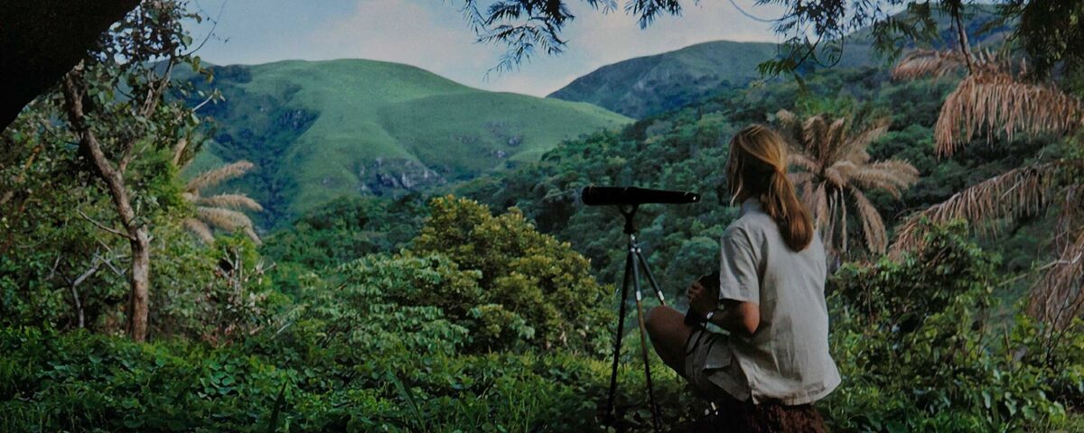 Gombe Stream National Park