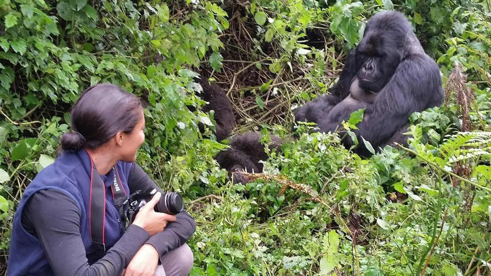 Gorilla Trekking Safari from Masai Mara