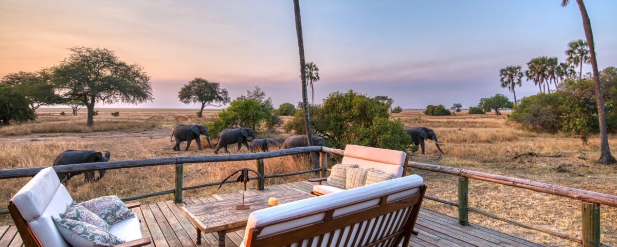 Tanzania Wildlife Safari Experience