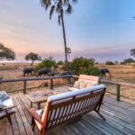 Tanzania Wildlife Safari Experience
