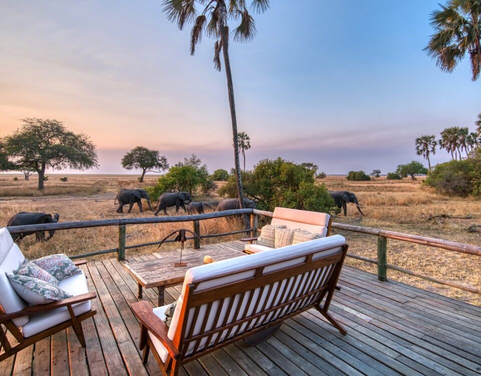 Tanzania Wildlife Safari Experience