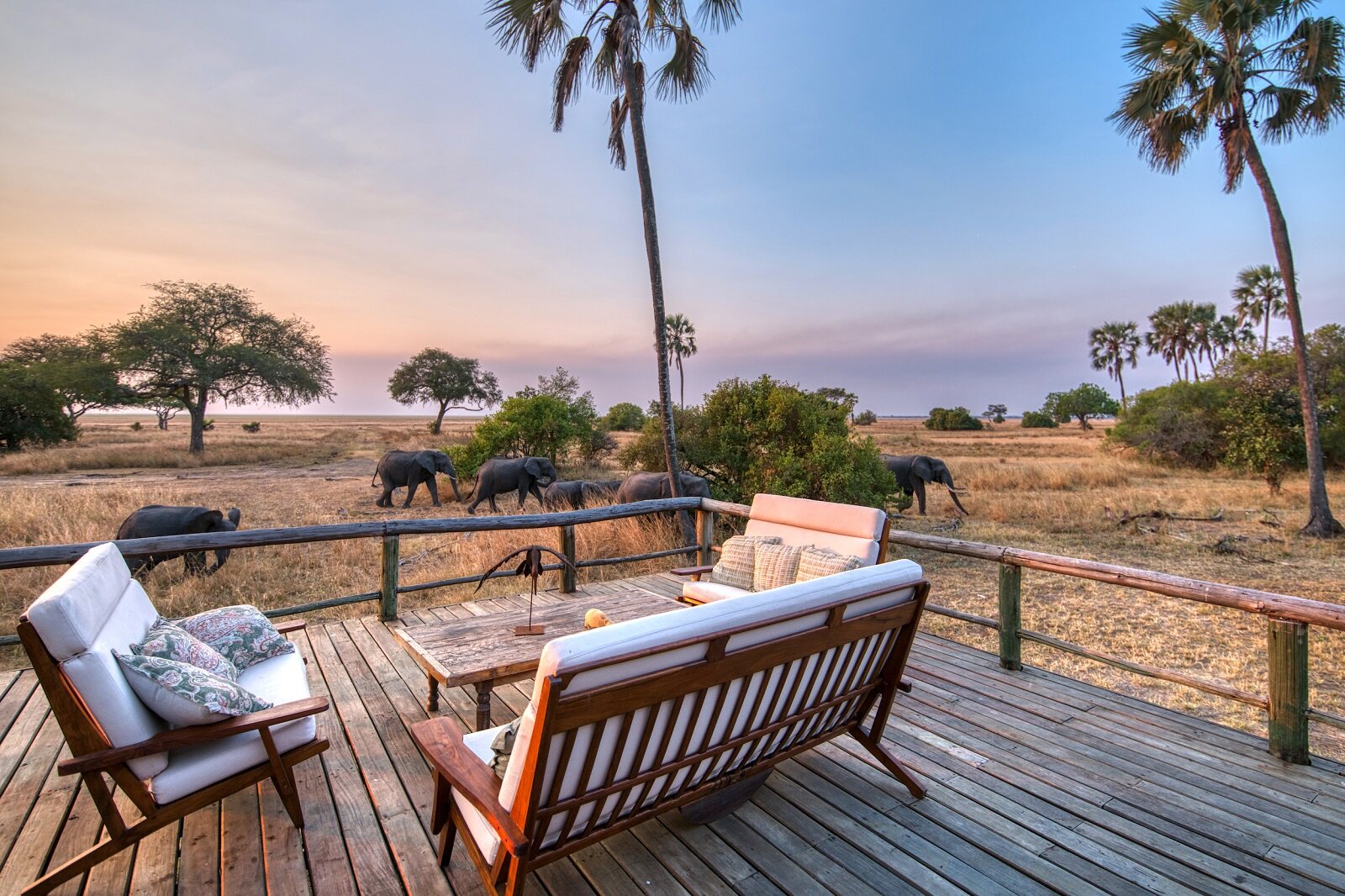 Tanzania Wildlife Safari Experience