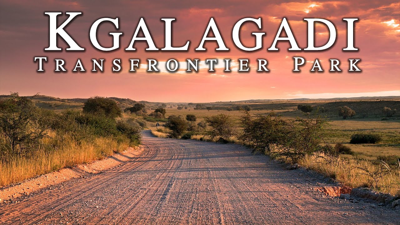 Botswana Wildlife Safari Experience