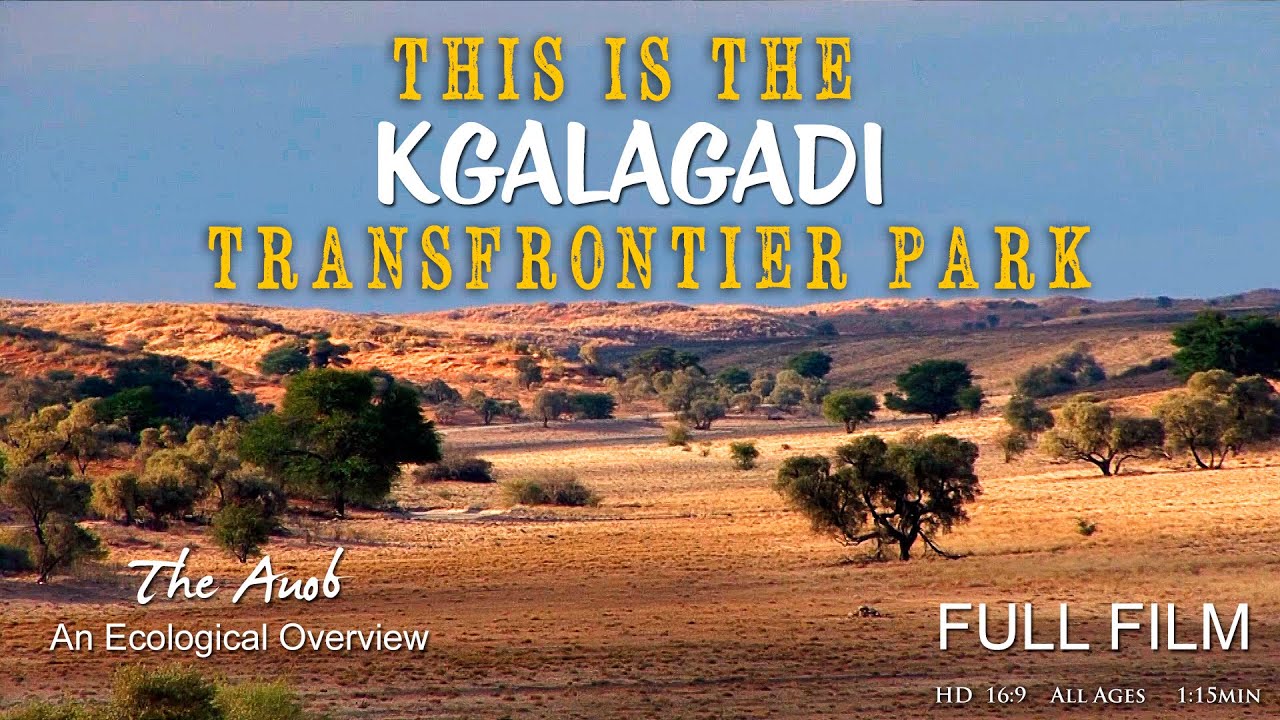 Botswana Wildlife Safari Experience