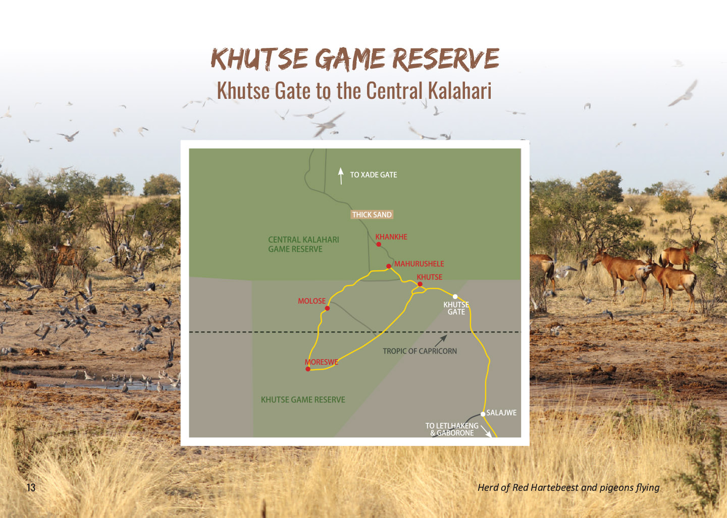 Khutse Game Reserve