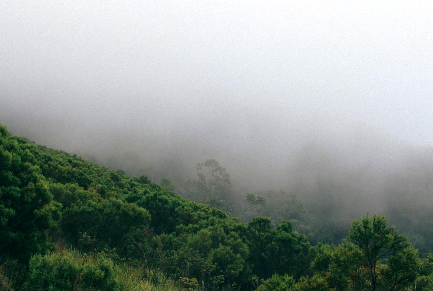Burundi Wildlife Safari Experience