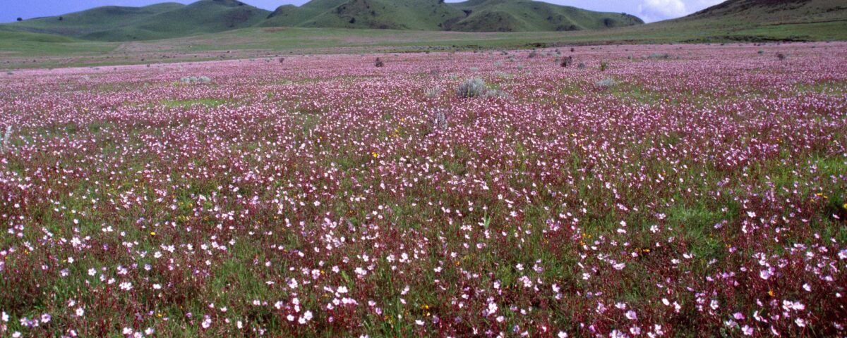 Kitulo National Park