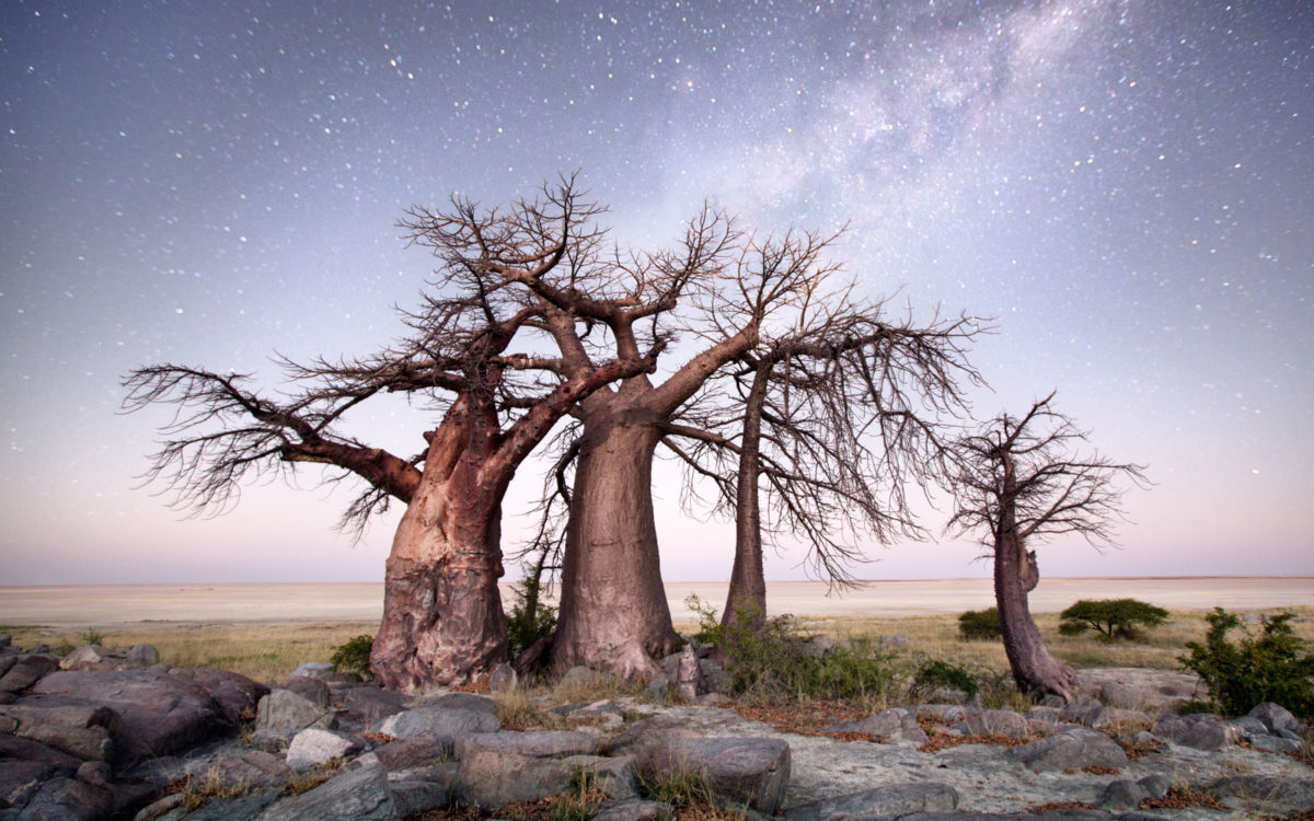 Makgadikgadi Pans