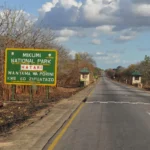 Mikumi National Park
