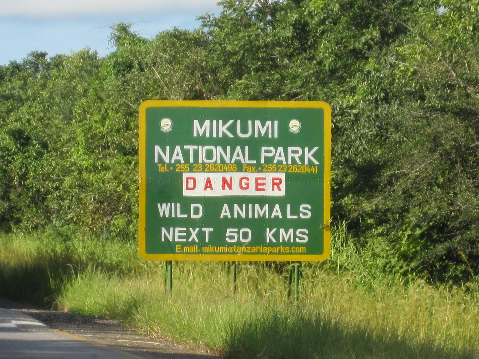Tanzania Wildlife Safari Experience