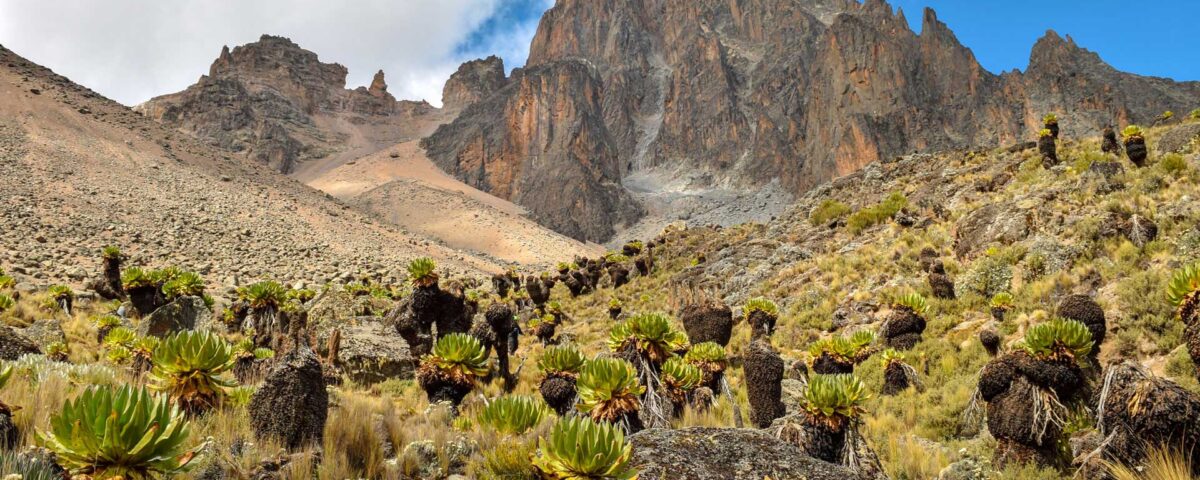 Kenya Mountain Hiking Experience