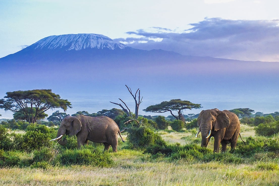Tanzania Mountain Hiking Experience