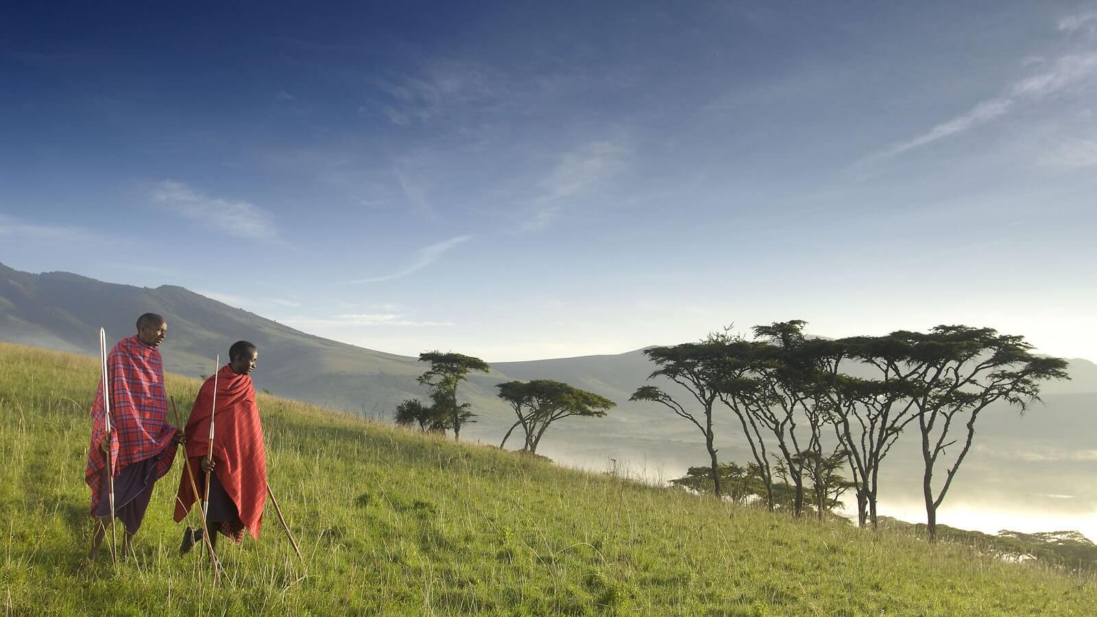 Tanzania Wildlife Safari Experience