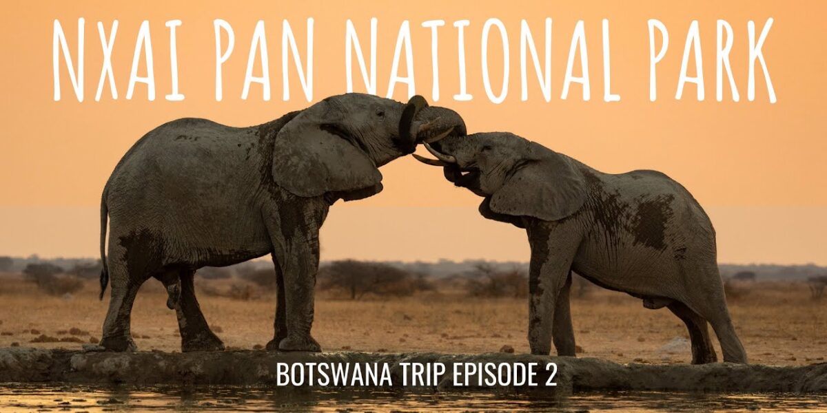 Nxai Pan National Park