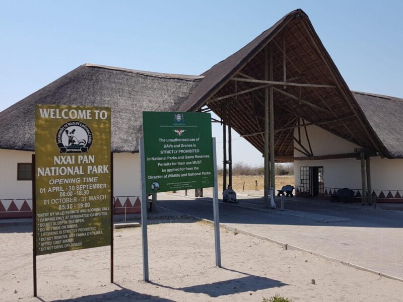 Nxai Pan National Park Botswana Wildlife Safari Experience