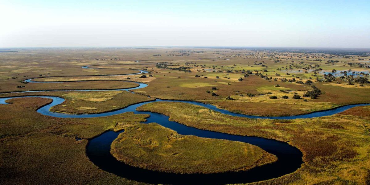 Botswana Wildlife Safari Experience