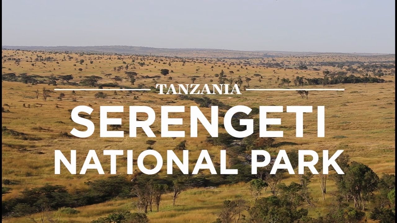 Tanzania Uganda Wildlife Safari 