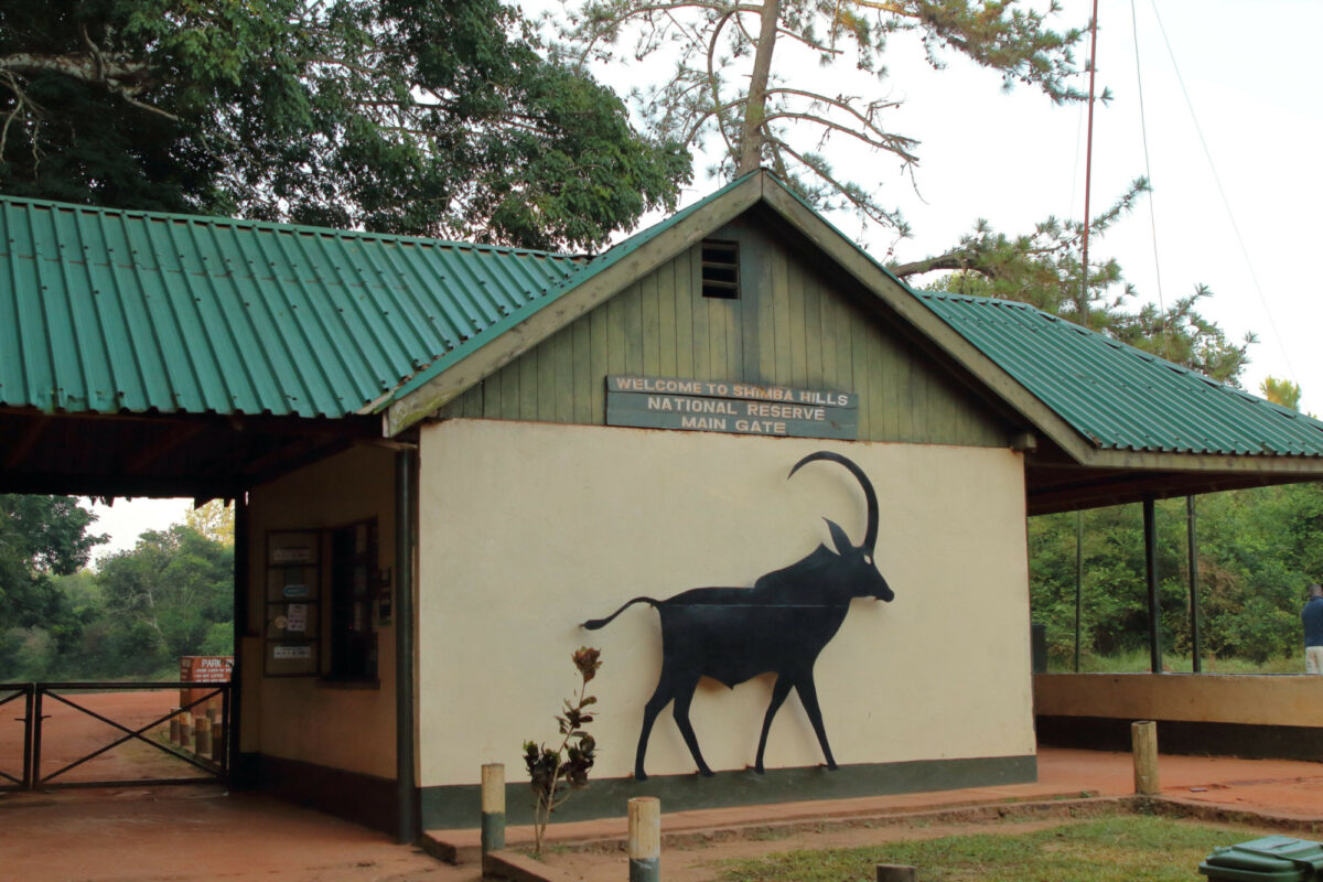 Shimba Hills National Reserve