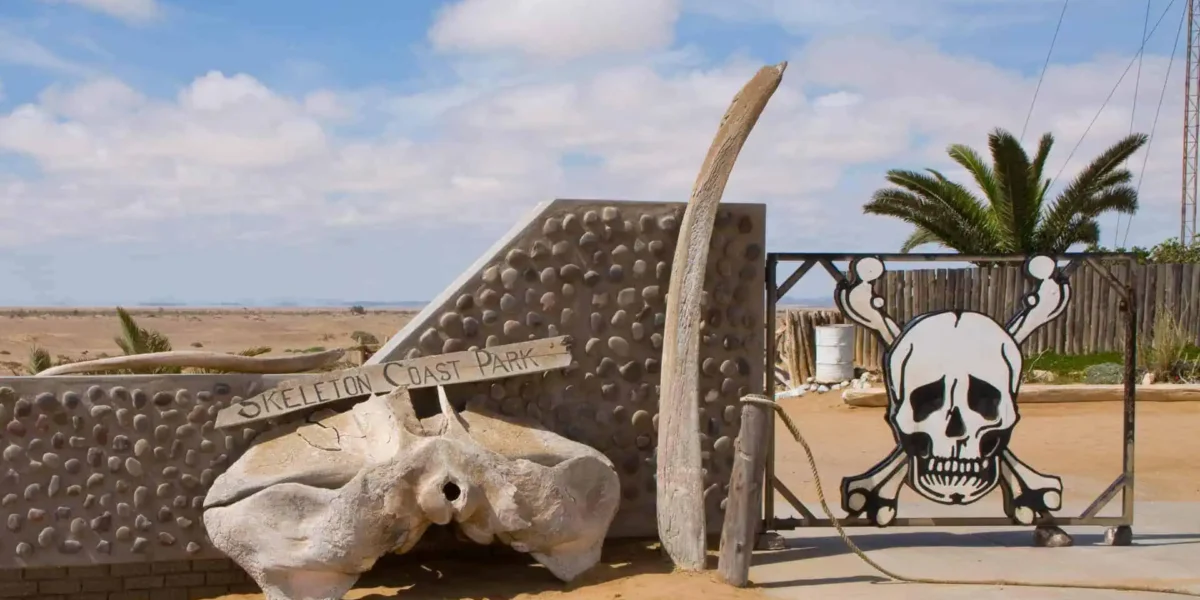 Namibia Desert Safari Experience
