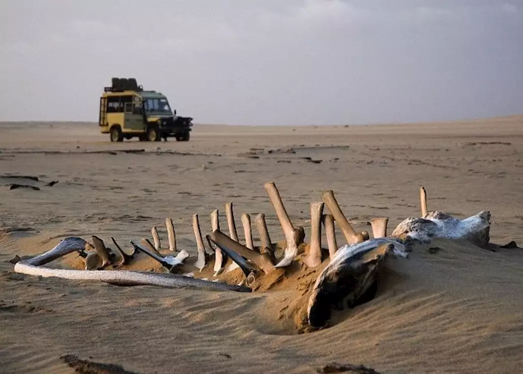 Skeleton Coast National Park