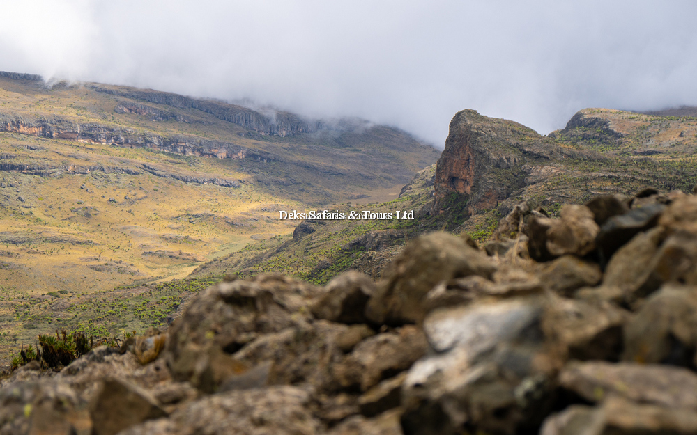 Uganda Mountain Hiking Experience