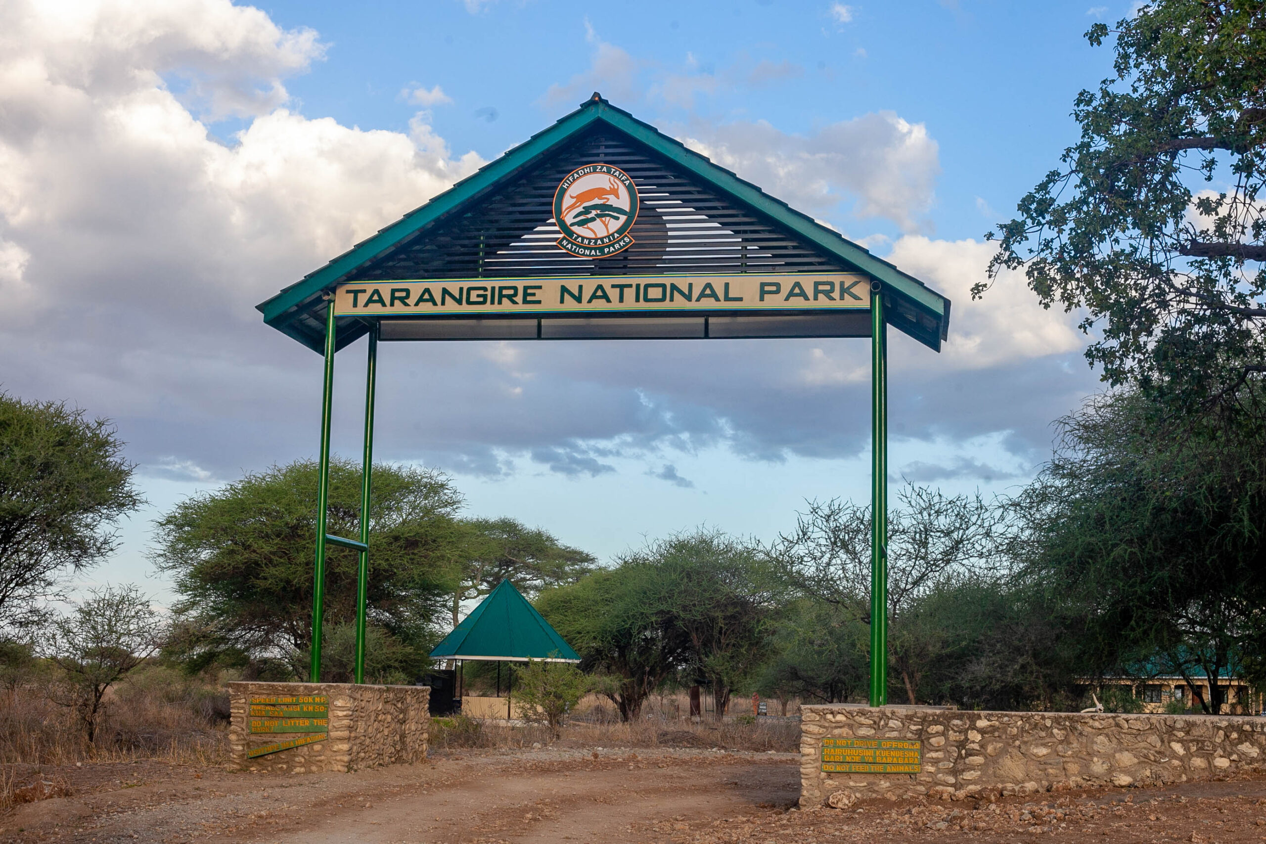Tanzania Wildlife Safari Experience