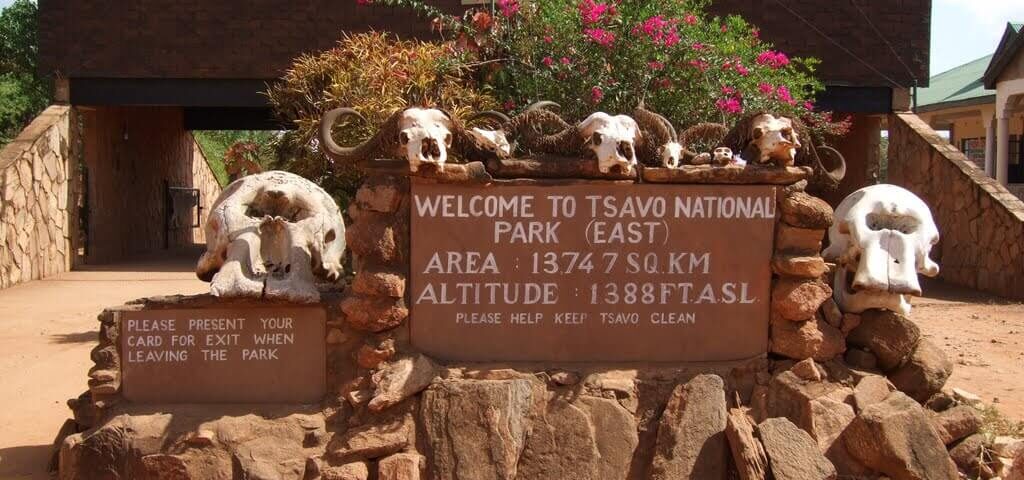 Kenya Wildlife Safari Experience