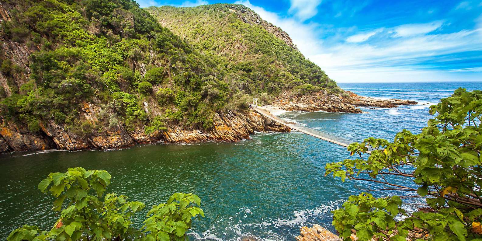 South Africa Safari Experience