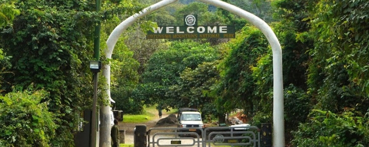 Udzungwa Mountains National Park