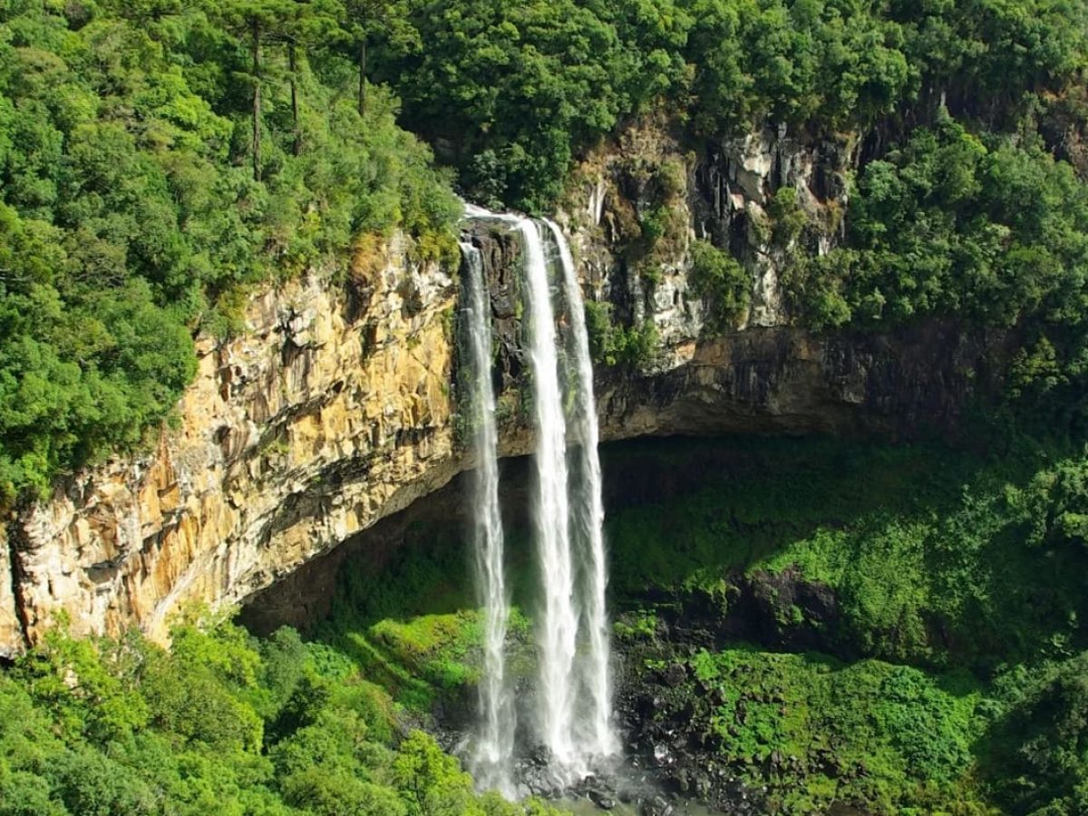 Tanzania Mountain Hiking Experience