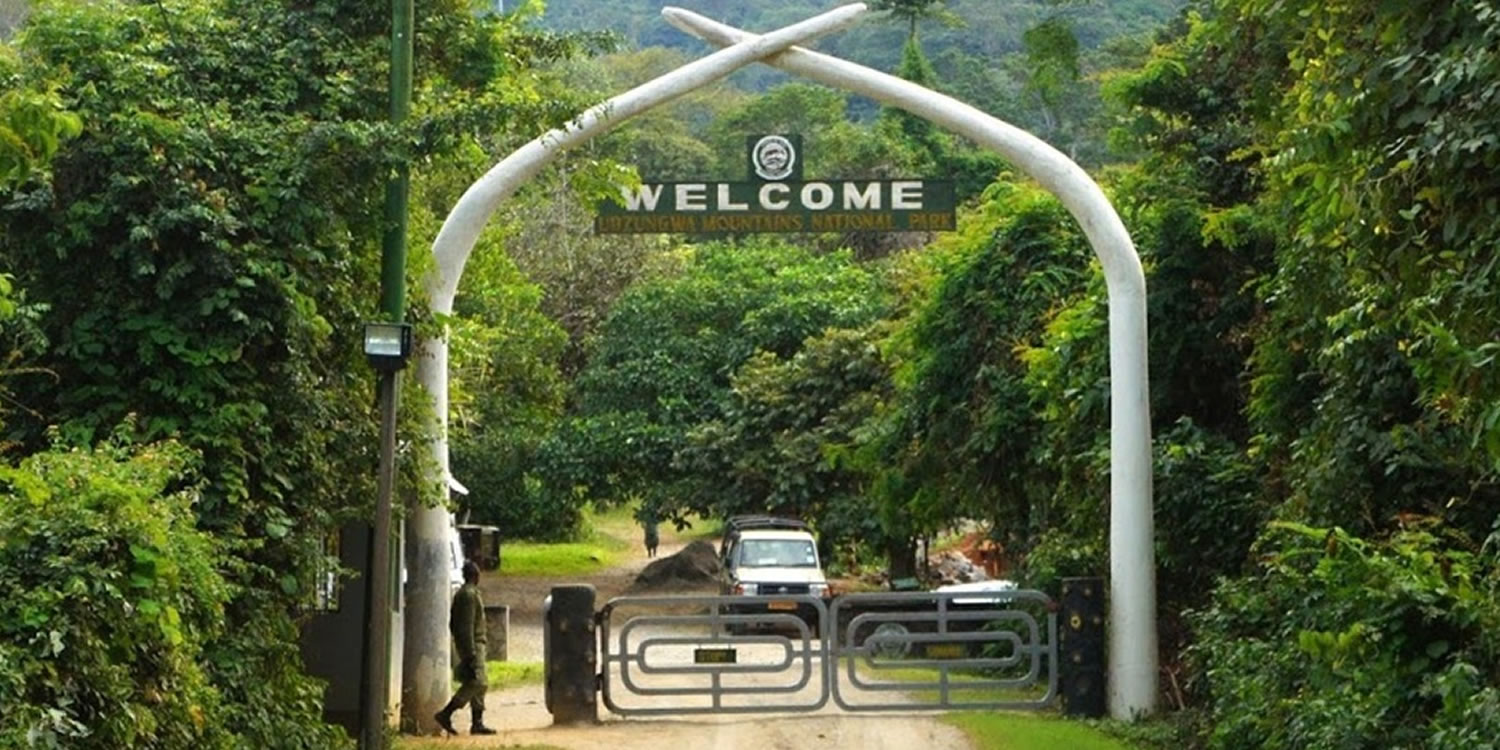 Udzungwa Mountains National Park