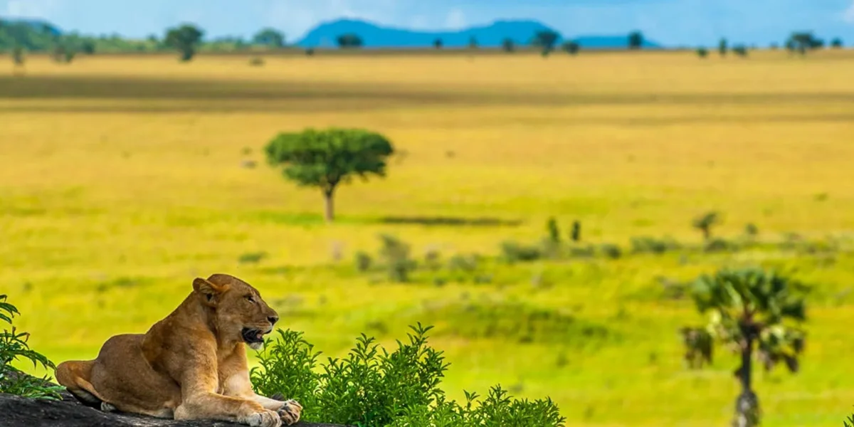 Kidepo Valley National Park