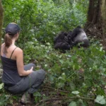 Why Choose Rwanda for Safaris?