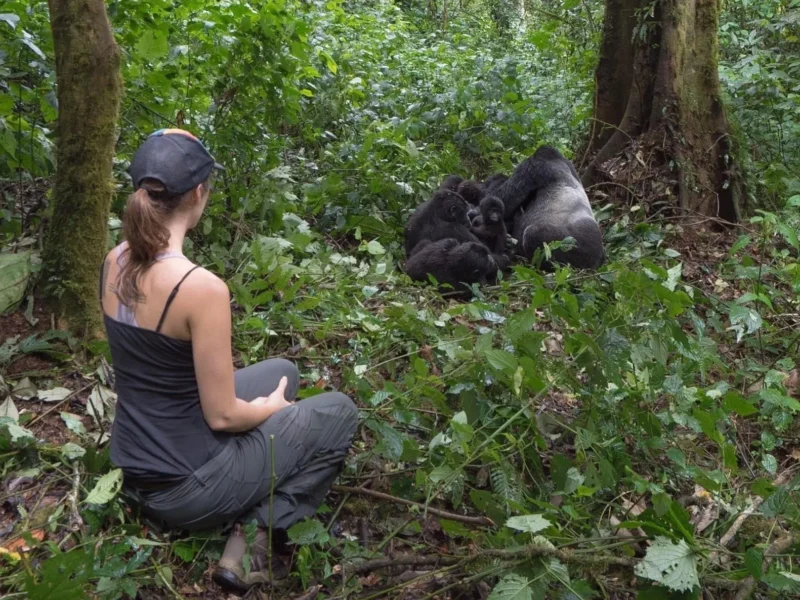 Why Choose Rwanda for Safaris?