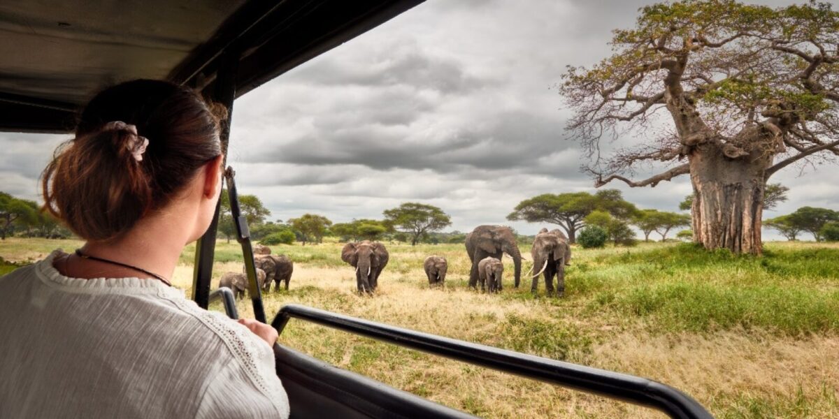 Are Cross-Border Safaris Popular in East Africa?