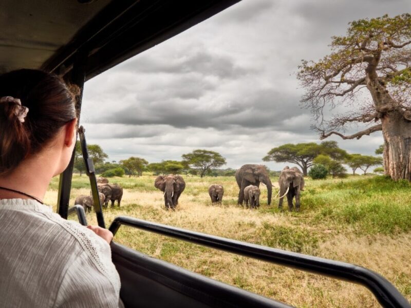 Are Cross-Border Safaris Popular in East Africa?