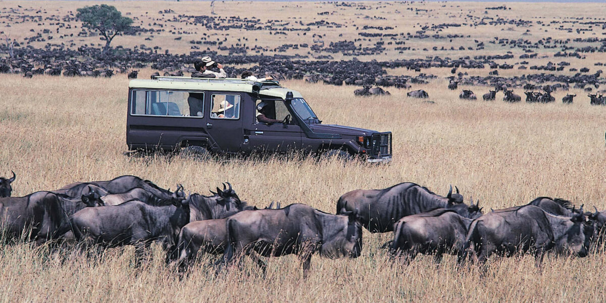 Are There Luxury Safari Options for the Great Migration
