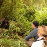 Can Children Participate in Gorilla Trekking Safaris in Rwanda