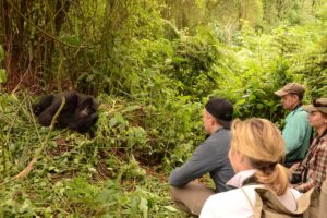 Can Children Participate in Gorilla Trekking Safaris in Rwanda
