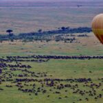 Can I Do a Hot Air Balloon Safari During the Great Migration?
